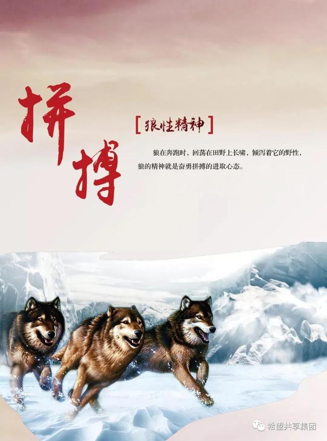 关于球队内斗不断，团队精神值得警惕的信息