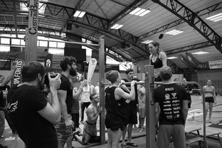 澳客足彩网站-“2025世界游泳锦标赛：水上芭蕾精彩纷呈，艺术之美与竞技并行”