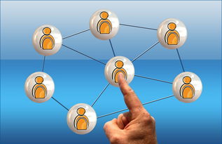 官方澳客网-新加坡队赛制评析：通过赛制创新提升整体比赛表现，新加坡联赛什么水平  第3张